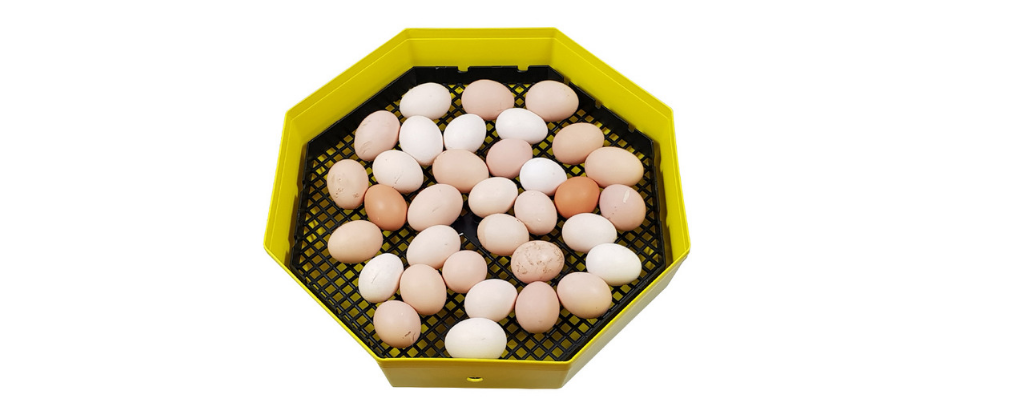 Systém otáčení vajec CLEO 5 TH pic